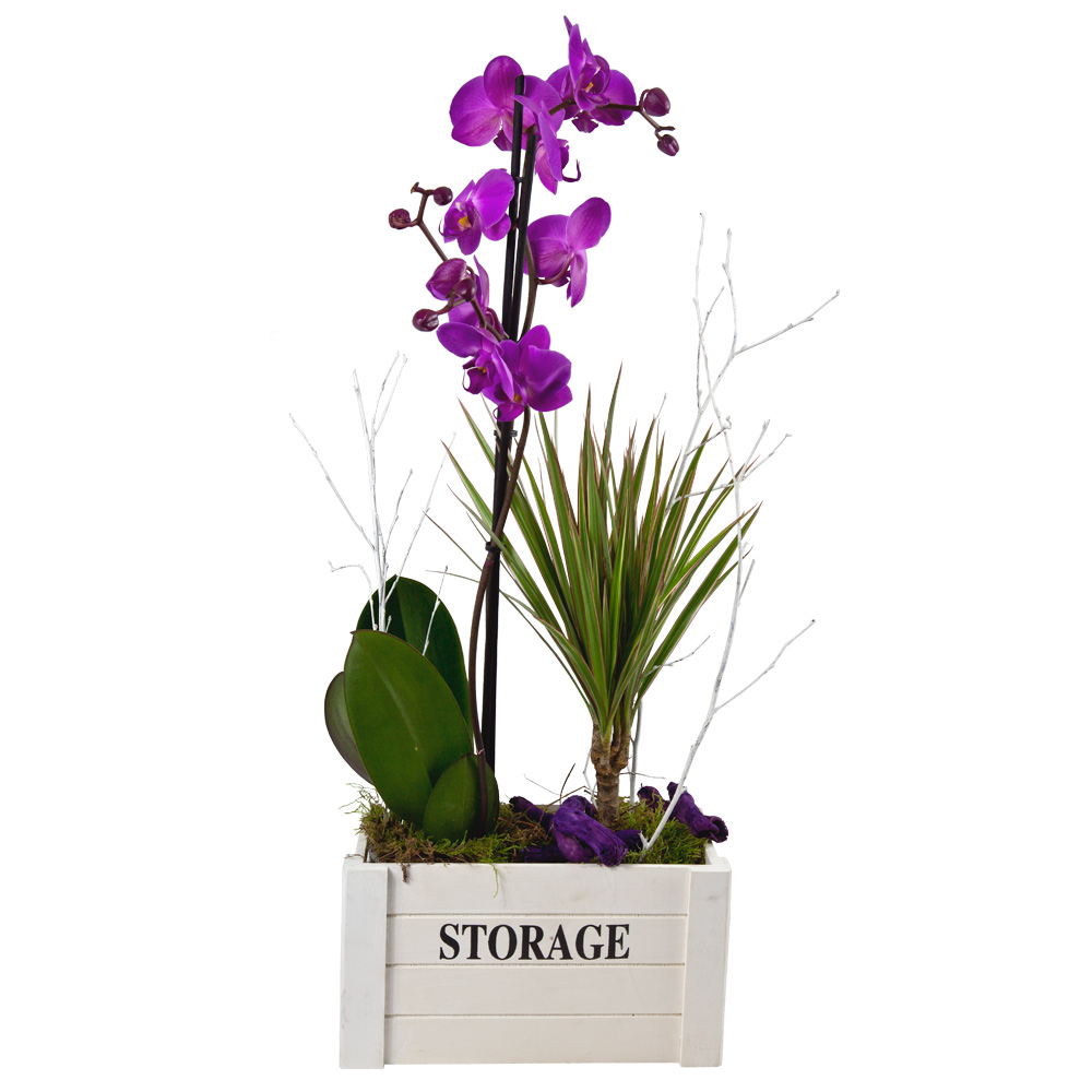 Composición con orquídea en caja de madera - Florístería Nuñez